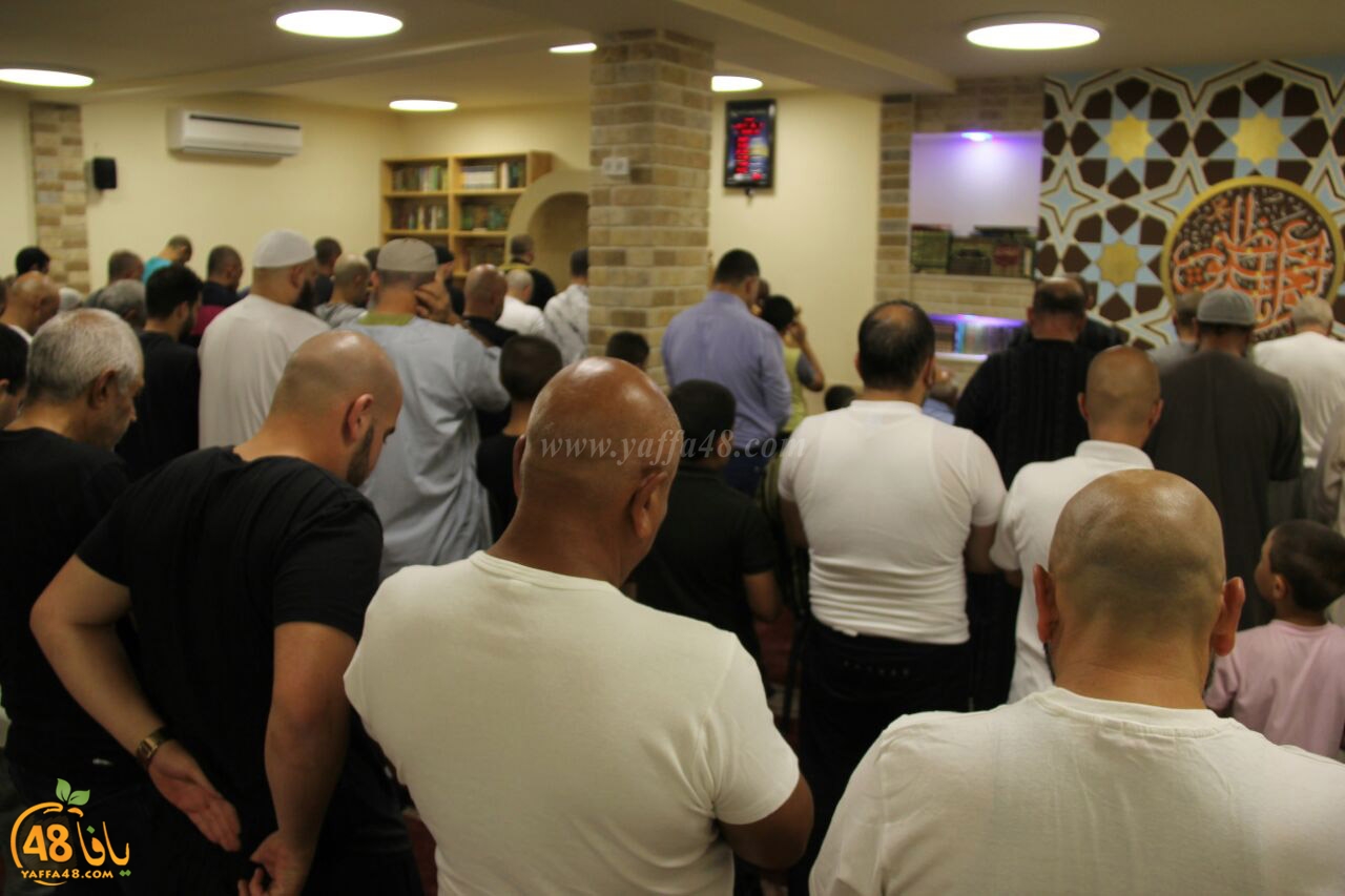 trawe7 mohamed fateh (26).jpg